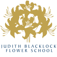 (c) Judithblacklock.com